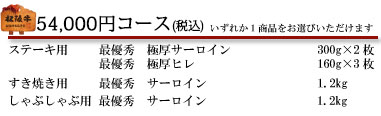 54,000円コース